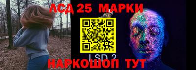 амф Бийск