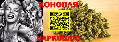 амф Бийск