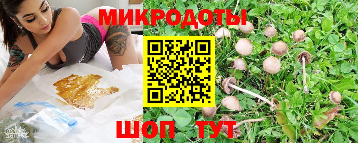 Кизилюрт  Псилоцибиновые грибы Cubensis  Вход с VPN  наркотики  Галлюциногенные грибы мицелий 