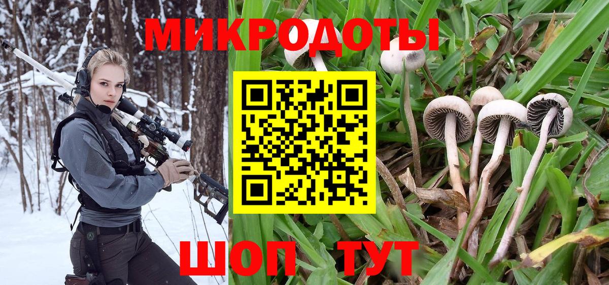 Псилоцибиновые грибы мухоморы Кизилюрт